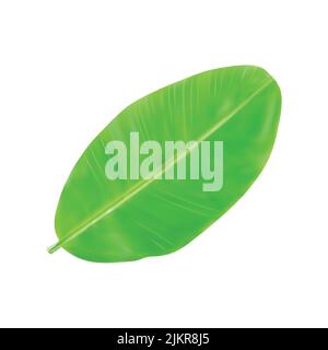 3d emoji vector illustration isolated on white Stock Vector