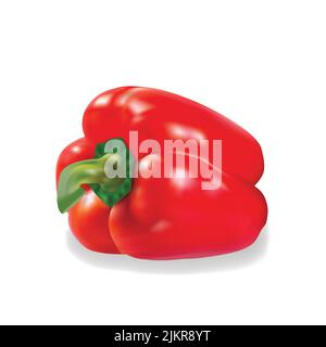 3d red chilli vector illustration Stock Vector