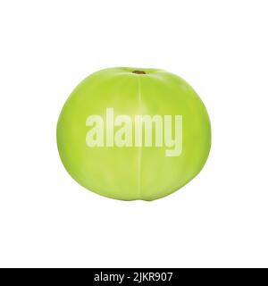 3d amla vector illustration isolated on white Stock Vector