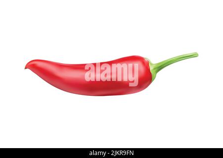 3d red chilli vector illustration isolated on white Stock Vector