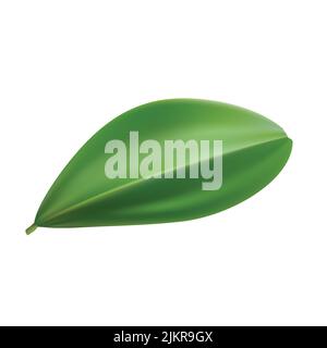 3d simple leaf vector illustration Stock Vector