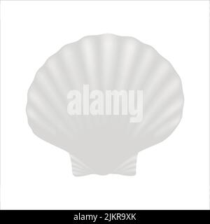 3d sea shell vector illustration isolated on white Stock Vector