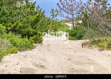 Sandy trail to the ocean beach in Amagansett, NY Stock Photo