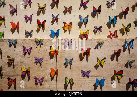 Set of colorful craft butterflies hanging on a wall Stock Photo