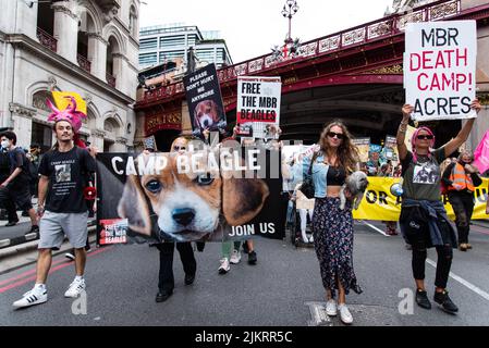 Camp Beagle protestors with placard saying MBR Acres Death Camp, Animal rights march London 2021 Stock Photo