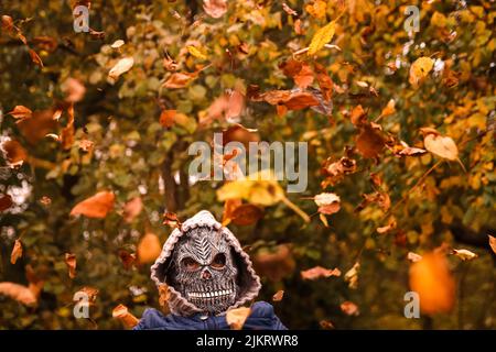 Defocus Halloween people. Person in grim reaper mask raising hand and throwing leaves. Many flying orange, yellow, green dry leaves. Skull ghost. Out Stock Photo