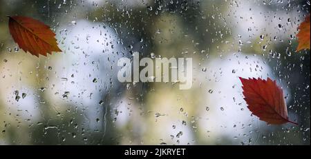 art wet autumn leaves background; autumn window with rain drops and autumn leaf Stock Photo