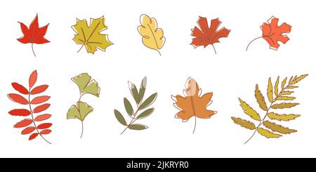 autumn leaf line element for decoration,card,presentation,printing,advertising,poster,ornament,elements,background,etc. Stock Vector