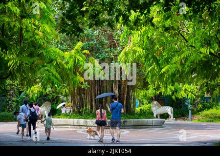A group of visitors walking in the Garden by the Bay premises, surrounded by lovely greenery which is good for mental health. Singapore. Stock Photo