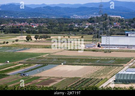 Eichstetten Am Kaiserstuhl, Germany. 03rd Aug, 2022. A sprinkler system irrigates a field in the Rhine valley while people work on an adjacent field in the foreground. Temperatures in Breisgau and Hochschwarzwald are above 30 degrees in many areas today, even reaching 35 degrees in places. For tomorrow, up to 38 degrees are expected. Credit: Philipp von Ditfurth/dpa/Alamy Live News Stock Photo