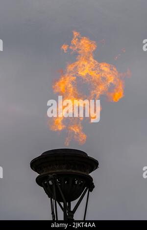 The fire of memory is lit on the rostral columns in St. Petersburg at ...