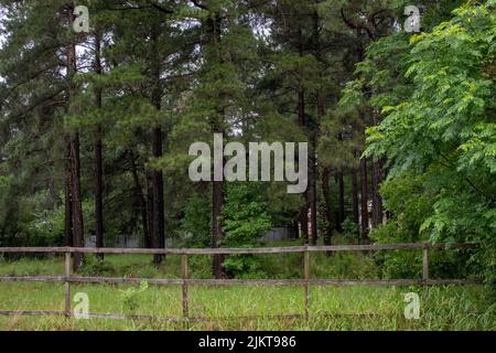 Brown wooden fence in the country and trees in rural Georgia Stock Photo