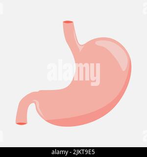 Stomach icon on a white background.  Stock Vector