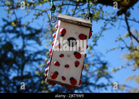 A wooden white bird house decorated with easteron the tree of downtown Vancouver, Canada Stock Photo