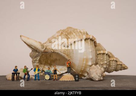 Music band in front of a huge conch shell, colored warm background, copy space Stock Photo