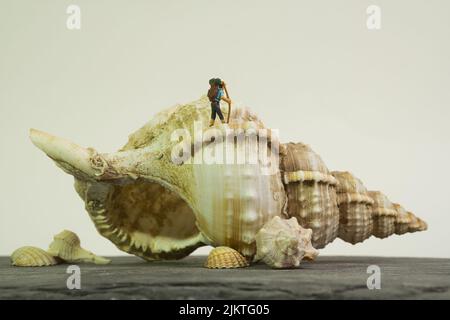 a hiker with a stick and backpack on a huge shell of a sea snail, white background Stock Photo