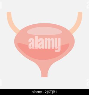 Bladder icon on white background Stock Vector