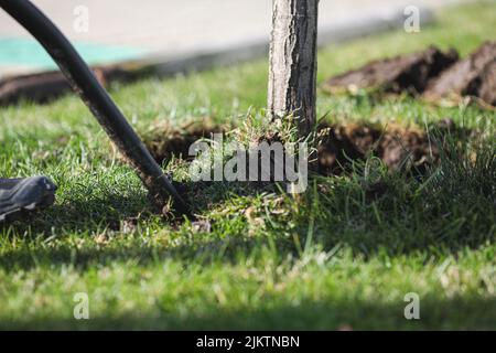 Selective focus shot of the soil on a field Stock Photo - Alamy