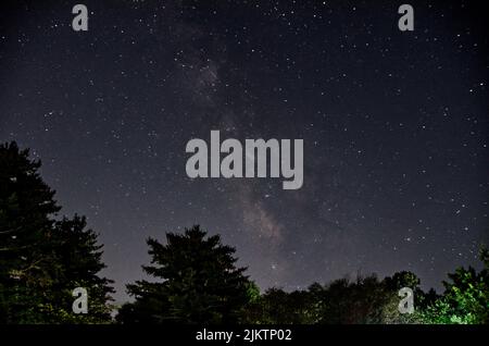 The wonderful night sky full of stars view from the forest Stock Photo