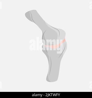 Icon joining bones on a white background Stock Vector