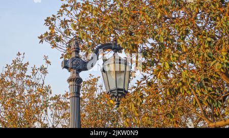 A beautiful shot of a black street lantern against fall trees and blue sky in the park on a sunny day in Santiago, Chile Stock Photo