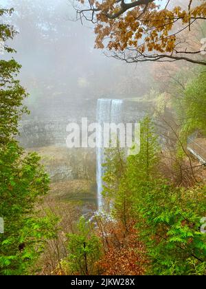 A beautiful shot of Tews falls in Dundas peak on a misty day in autumn, Ontario, Canada Stock Photo