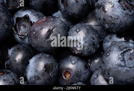 Blueberries on a macro scale. Dark berries in close-up. Ripe blueberries isolated. Healthy, natural fruit. Stock Photo