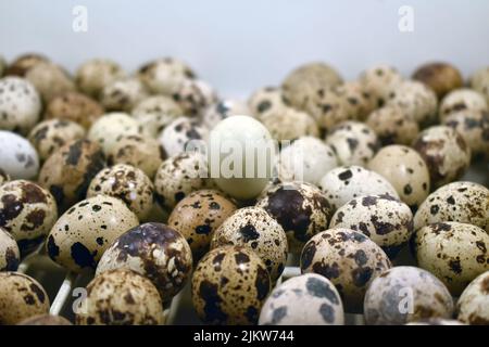 Quail eggs on white background Stock Photo