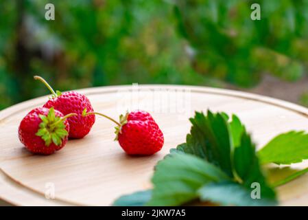 strawberries with leaves lie on a wooden plank Stock Photo