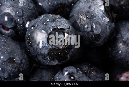 Blueberries on a macro scale. Dark berries in close-up. Ripe blueberries isolated. Healthy, natural fruit. Stock Photo