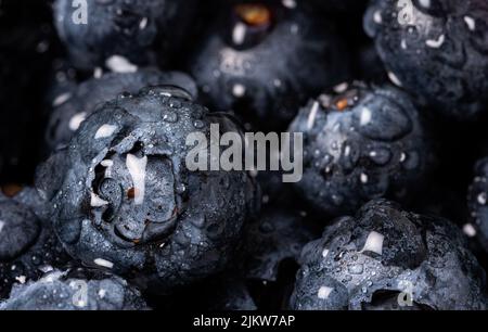 Blueberries on a macro scale. Dark berries in close-up. Ripe blueberries isolated. Healthy, natural fruit. Stock Photo