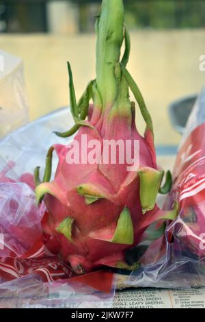 A pitahaya or dragon fruit is the fruit of cactus. Dragon fruit is cultivated throughout tropical and subtropical world regions. Stock Photo