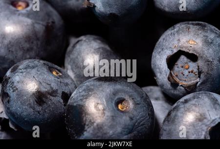 Blueberries on a macro scale. Dark berries in close-up. Ripe blueberries isolated. Healthy, natural fruit. Stock Photo