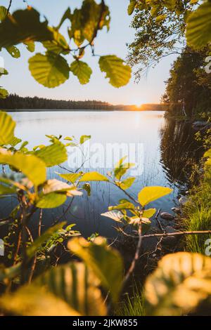 Finnish summer in full action Stock Photo