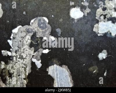 A closeup of a rough concrete floor Stock Photo