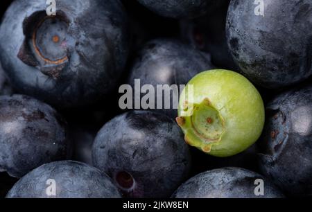 Blueberries on a macro scale. Dark berries in close-up. Ripe blueberries isolated. Healthy, natural fruit. Stock Photo