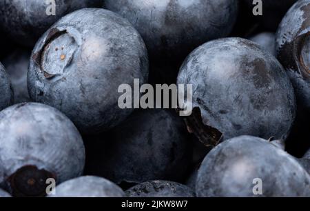 Blueberries on a macro scale. Dark berries in close-up. Ripe blueberries isolated. Healthy, natural fruit. Stock Photo