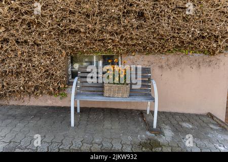 A basket with beautiful orange spring flowers on a wooden bench Stock Photo