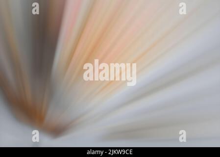 A starburst with colorful light rays in pastel tones Stock Photo