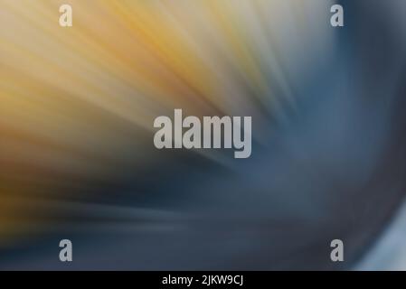 Colorful starburst with blurry sparkles in dark blue and yellow Stock Photo