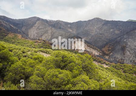 Charred mountain range of Sierra de Mijas, after a wildfire, Andalucia, Spain. Stock Photo