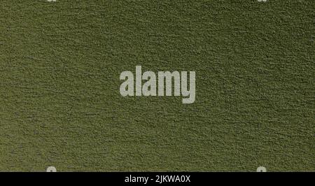 The green textured empty surface for the background. Stock Photo
