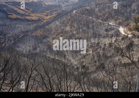 Spanish mountains with pine forest burned after wildfire, Mijas, Malaga, Andalucia, Spain Stock Photo
