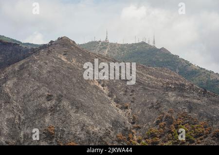 Spanish mountains with pine forest burned after wildfire, Mijas, Malaga, Andalucia, Spain Stock Photo