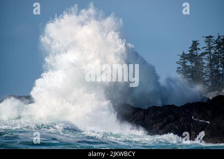 Big Beach, Wild Pacific Trail, Ucluelet, Vancouver Island, BC Canada Stock Photo