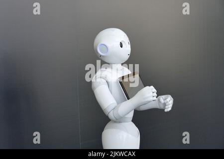 Pepper  social humanoid robot optimized for human interaction  through conversation and his touch screen Stock Photo