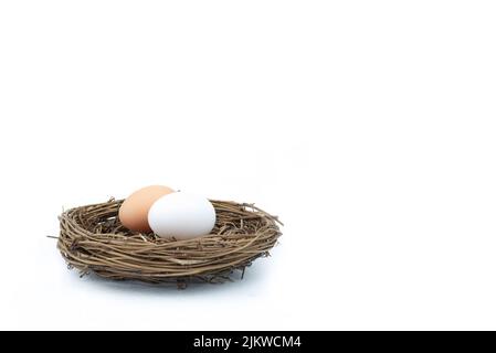 A closeup shot of a nest with two eggs isolated on white background with a copy space Stock Photo