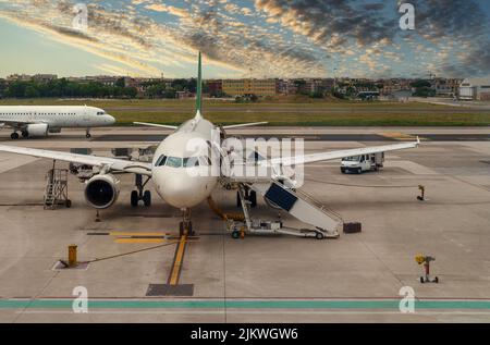 Unloading suitcases from the plane at the airport. Stock Photo