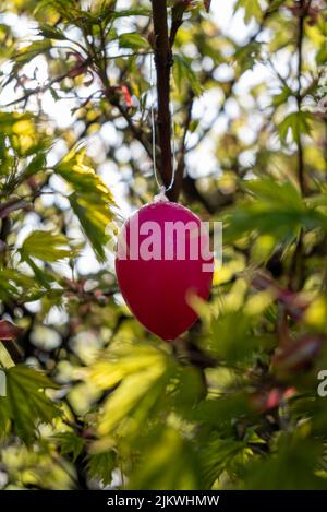 A vertical closeup of a decorative red Easter egg hanging on the tree branch. Selected focus. Stock Photo