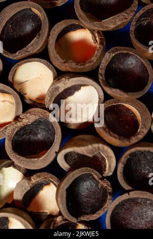 macadamia nut shell close-up, cracked macadamia nut, selective focus Stock Photo